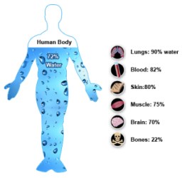 human-body-water1